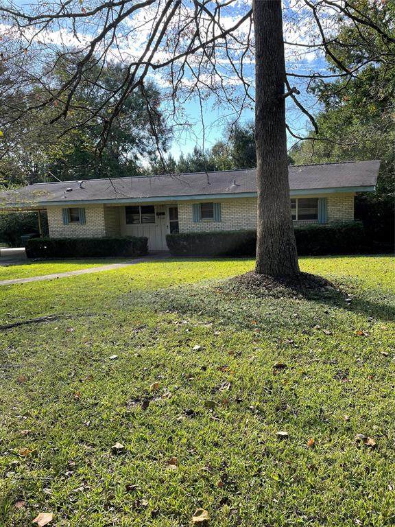 164 Cinnamon Oak Street - Photo 1