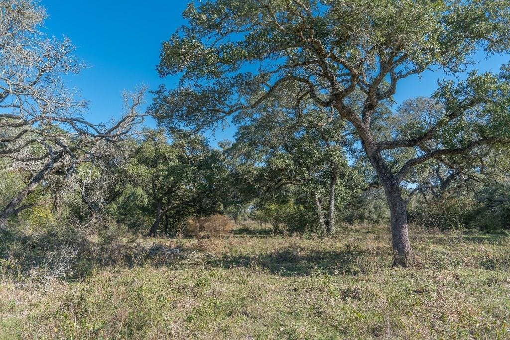 0000 County Road 105 - Photo 1