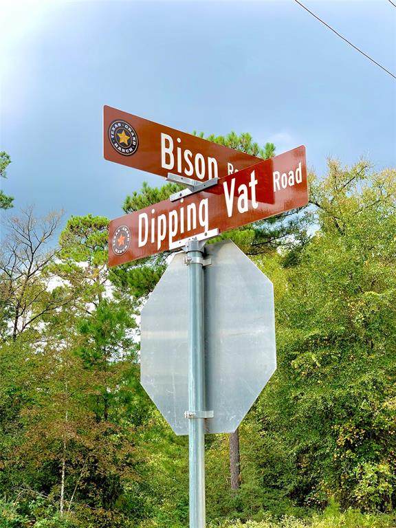 TBD Dipping Vat Road - Photo 1