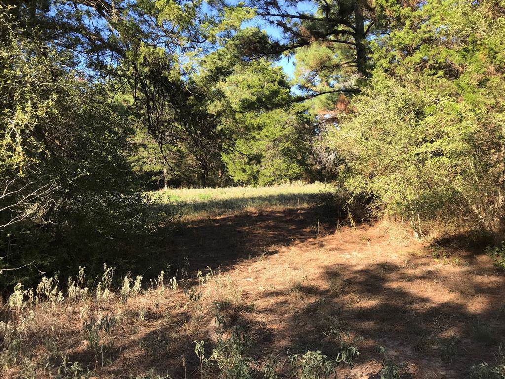 0 Elm Crest Drive - Photo 1