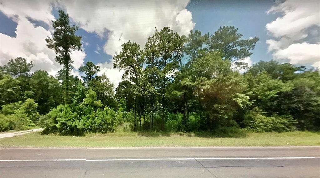 0000 Hwy 87 Lot H - Photo 1