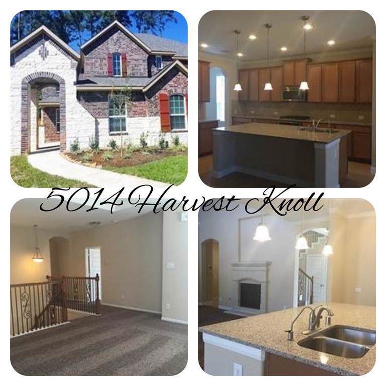 5014 Harvest Knoll - Photo 1