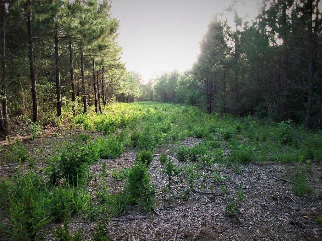 1 Fm 247 - Photo 1