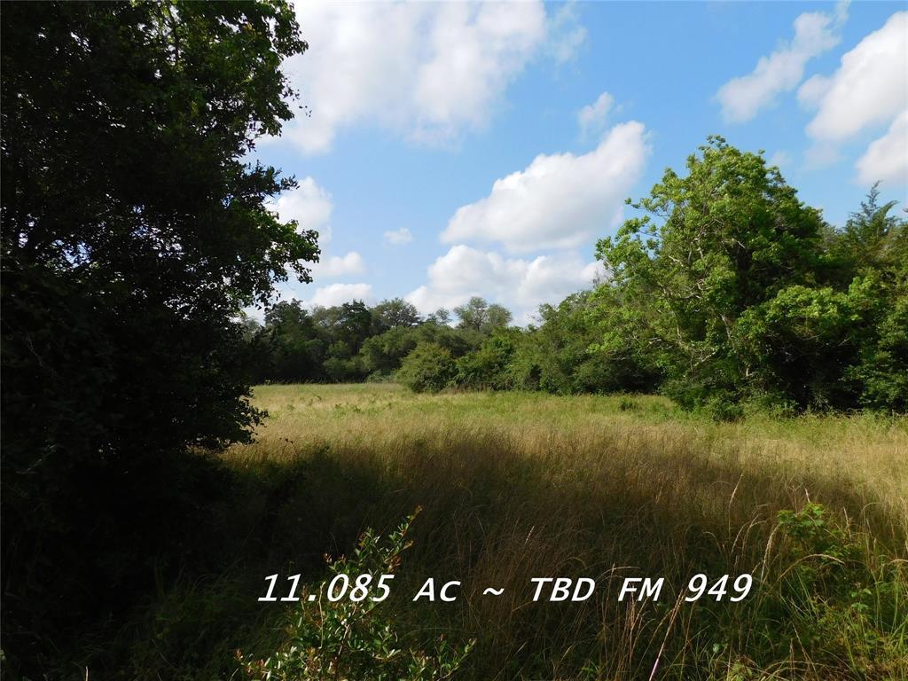 000 TBD Fm 949 - Photo 1