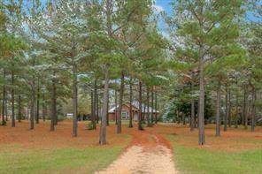 12662 Maxwell Street - Photo 1