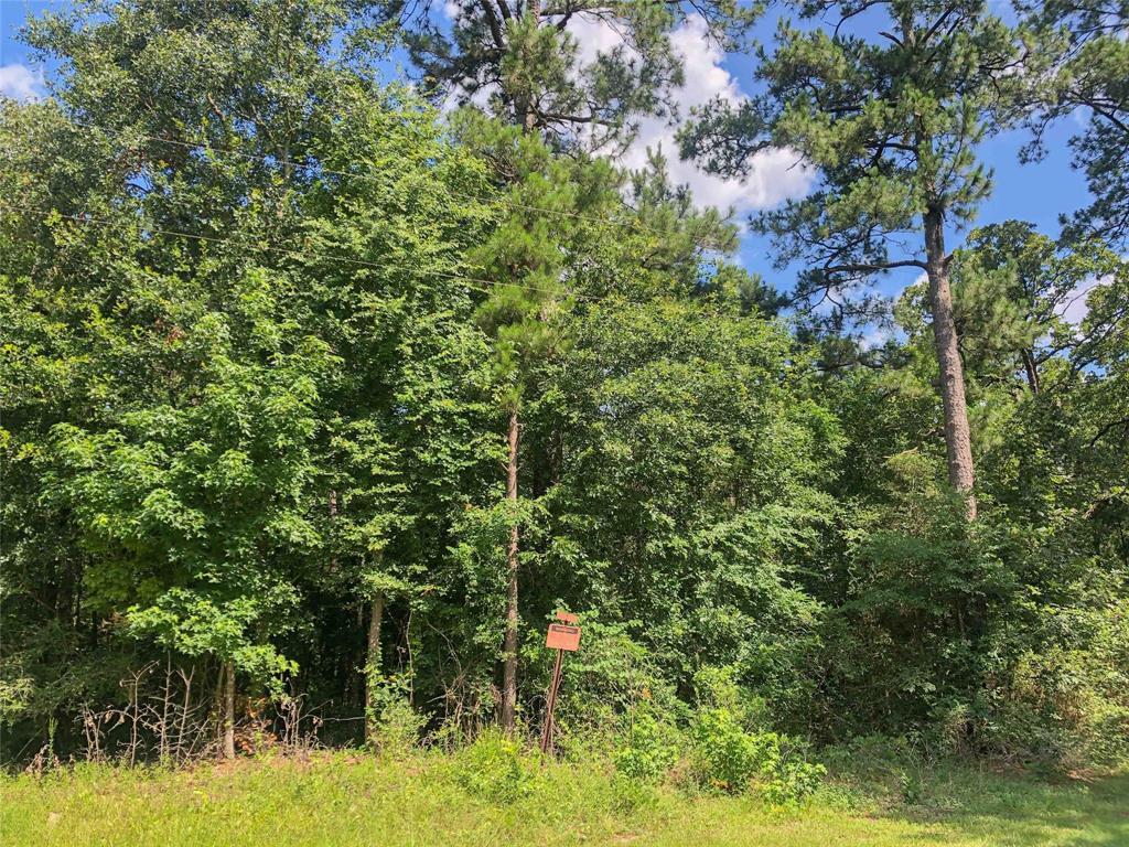 0 Hwy 190 - Photo 1