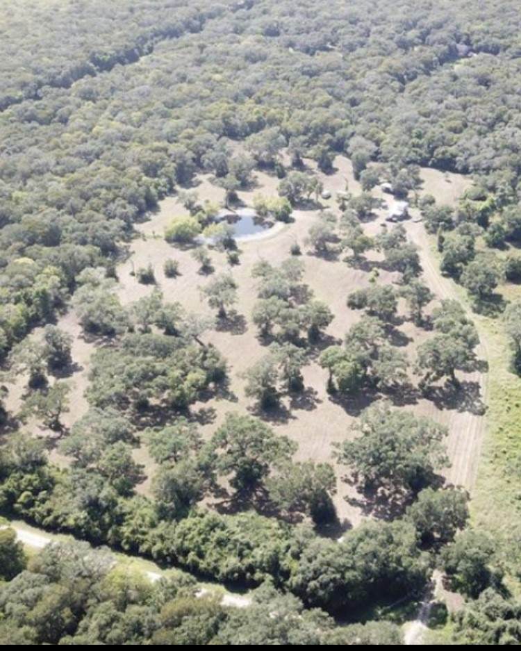 Tract 2 Private Road 648 Street - Photo 1