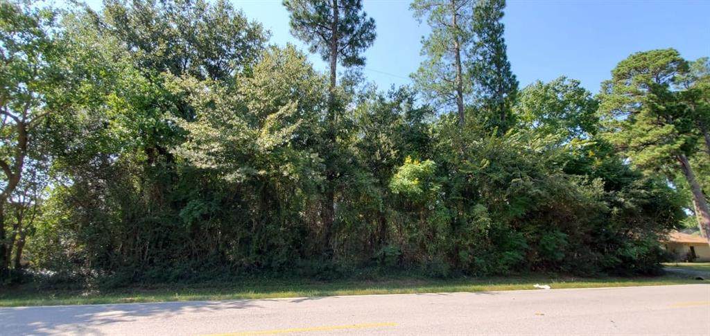 TBD Moss Forest Drive - Photo 1