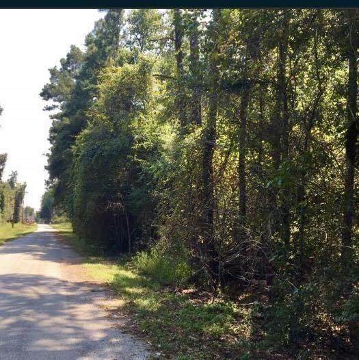 237 County Road 3669B - Photo 1