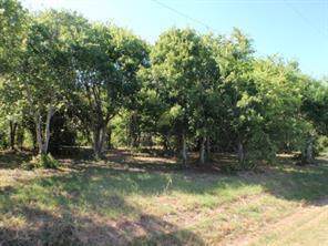 LOT 3 Cr 297 - Photo 1