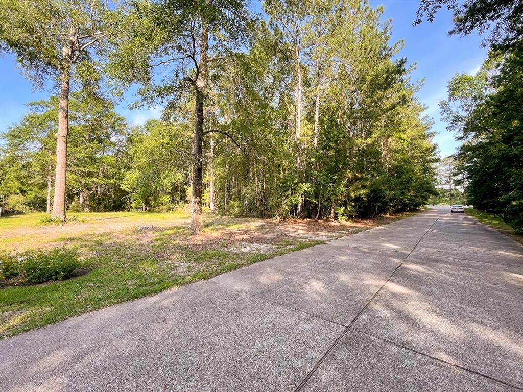 0000 Forse Drive - Photo 1