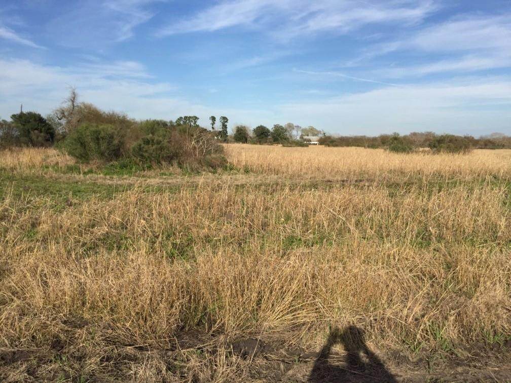 10611 Rybak Road - Photo 1