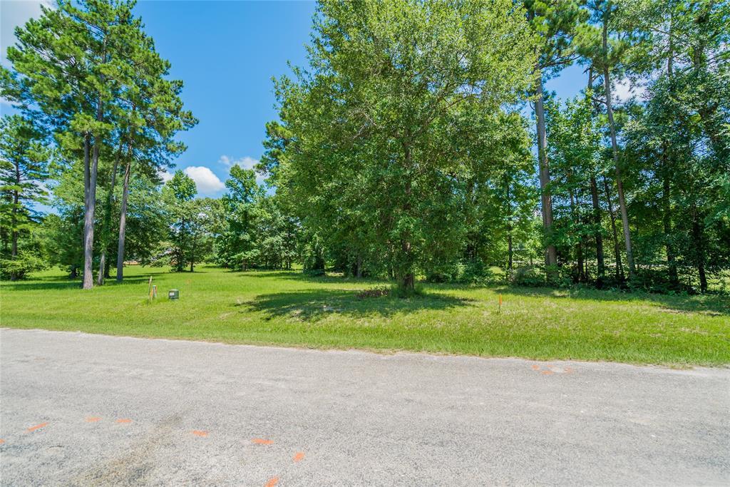 161 Forest Drive - Photo 1