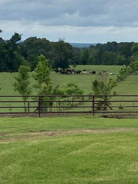 300 J W Reneau Road - Photo 1