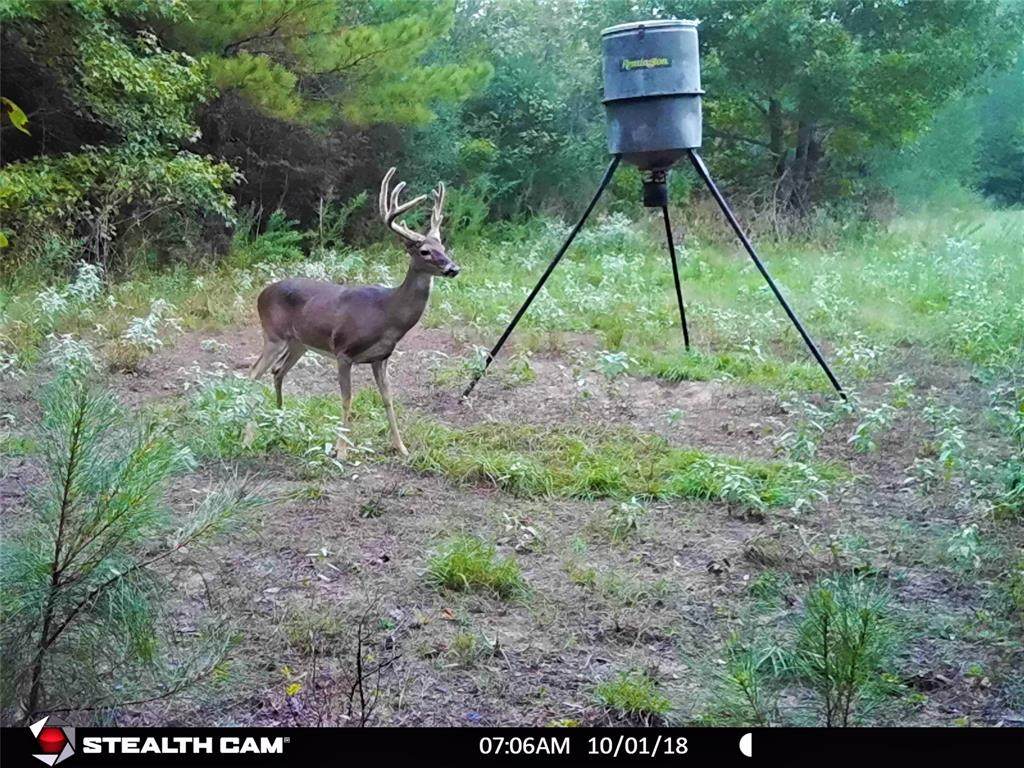0000 County Rd 236 - Photo 1