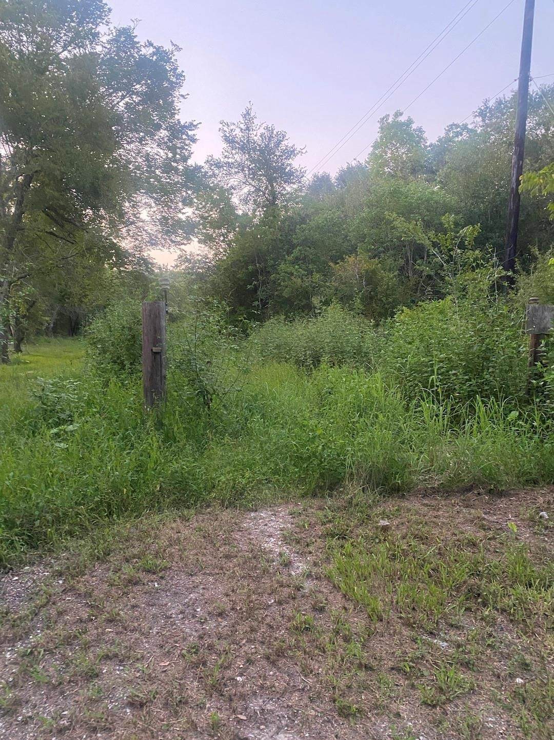114 Black Bass Drive - Photo 1