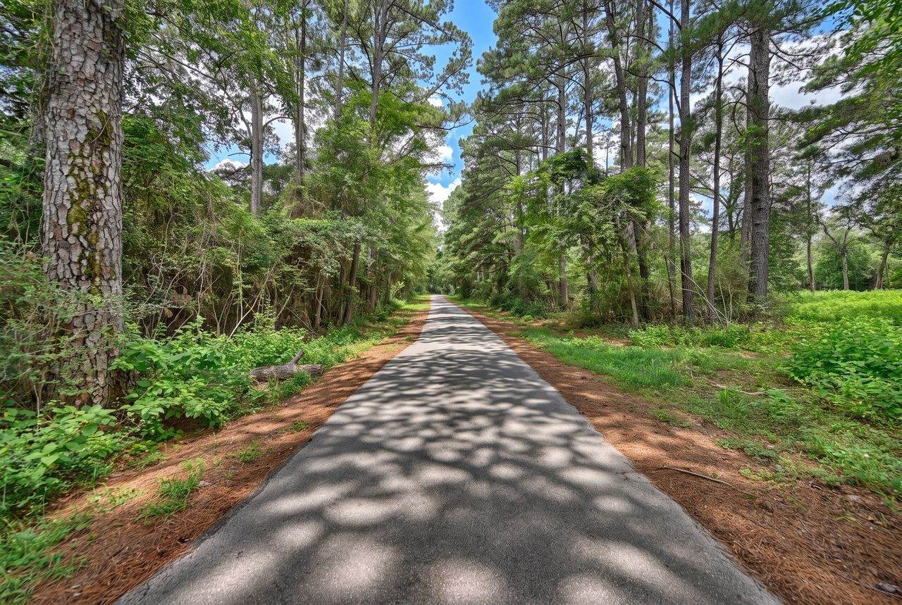 Lot One, 3340 County Road 325 - Photo 1