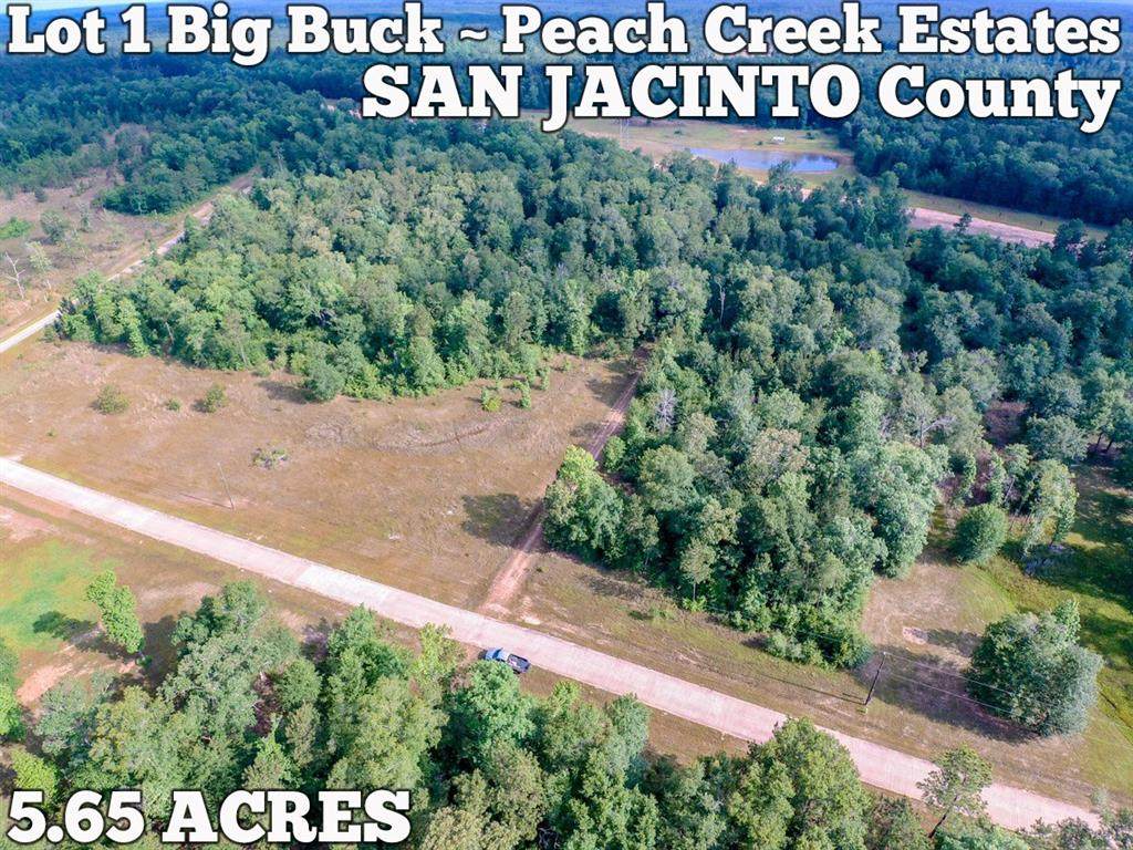 Lot 1 Big Buck Drive - Photo 1