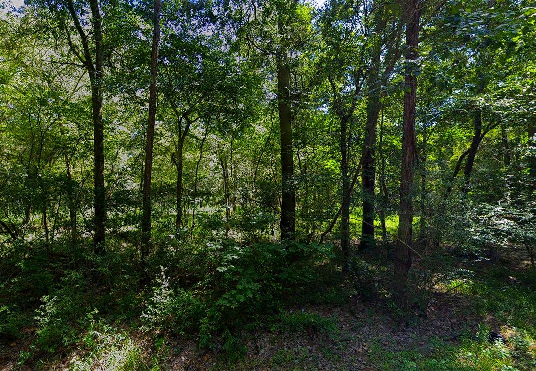 0 Pine Creek Road - Photo 1