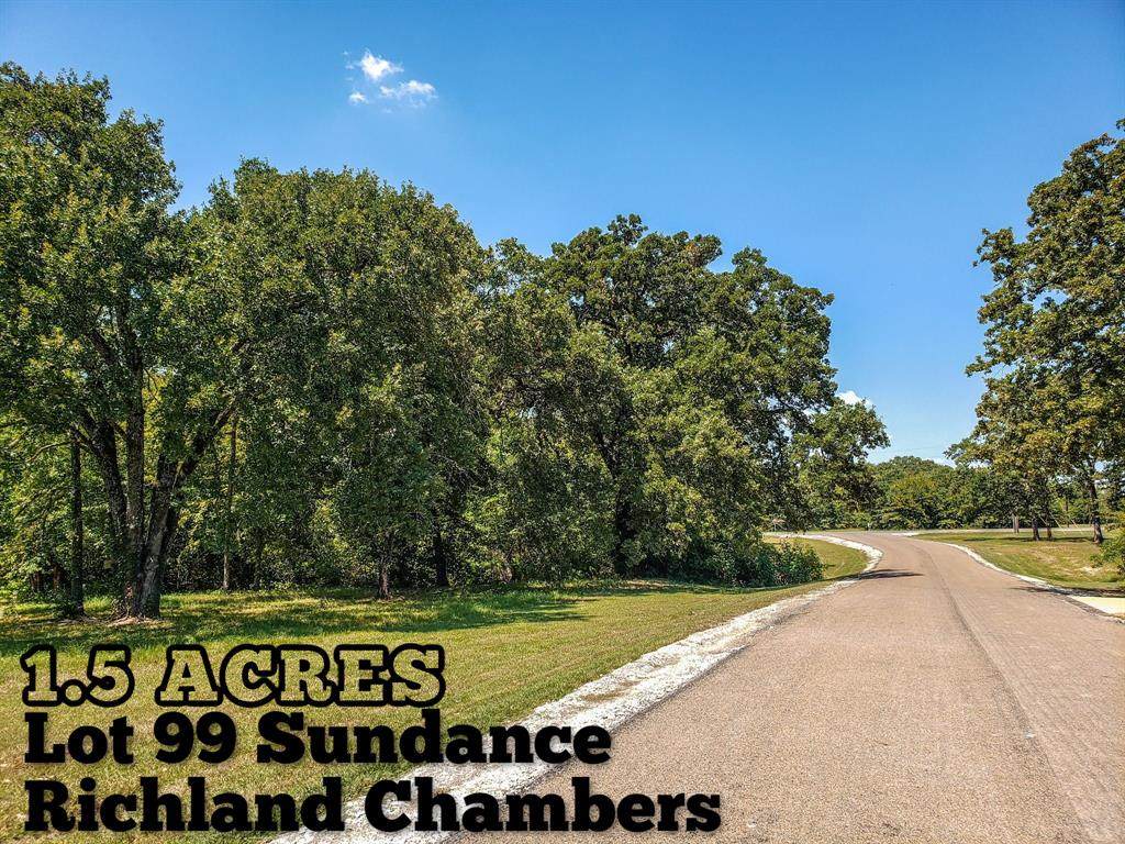Lot 99 Sundance - Photo 1