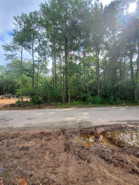 TBD Hawthorne Road - Photo 1
