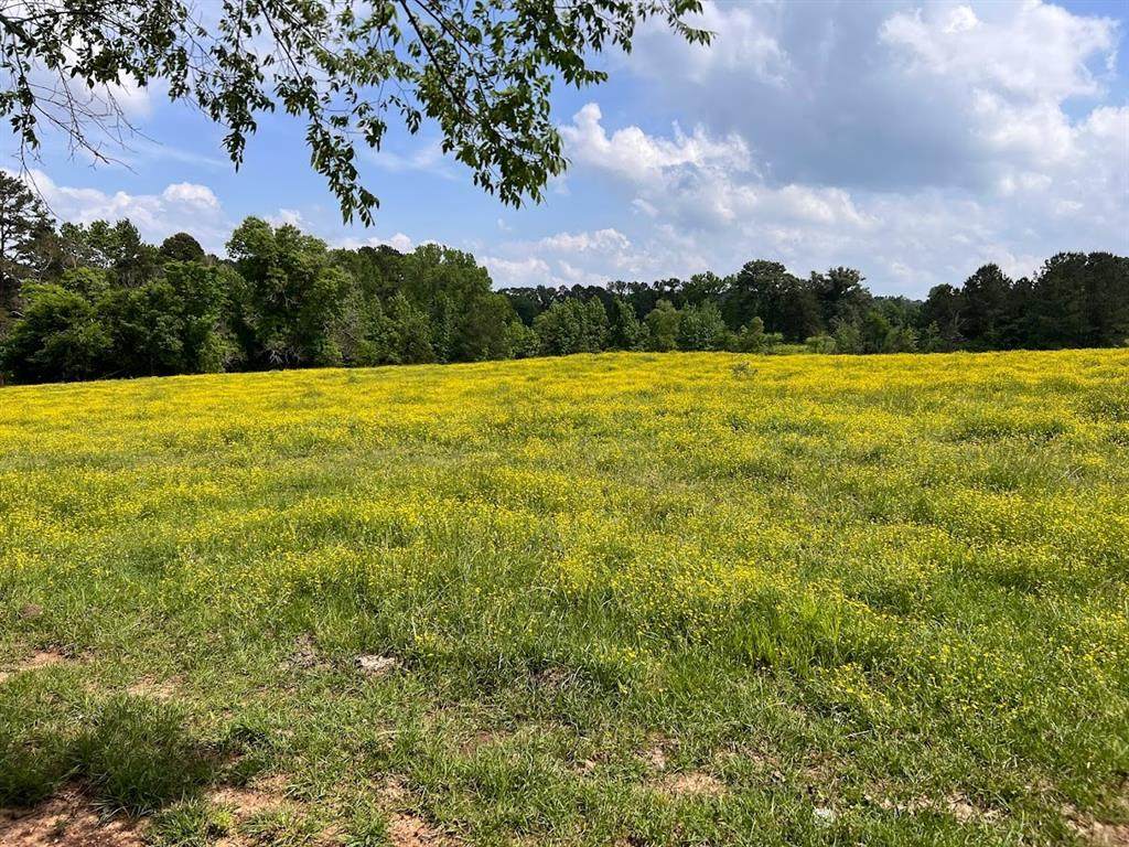 TBD County Road 172 - Photo 1