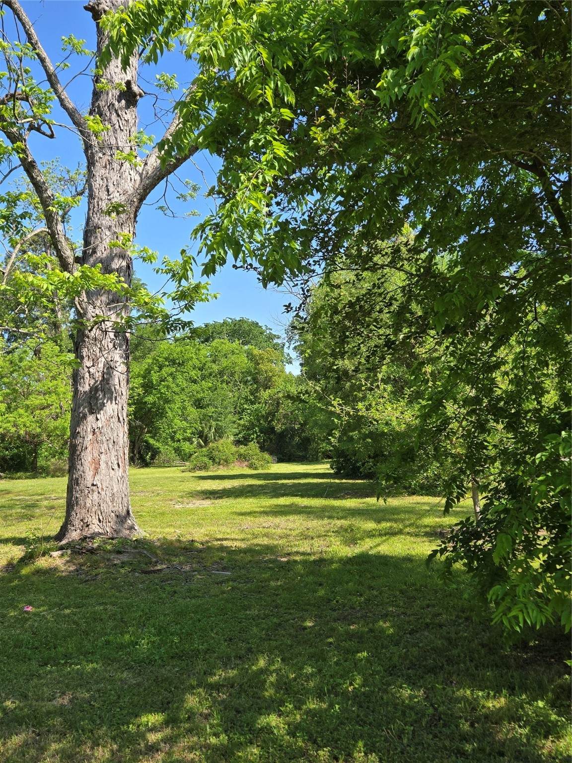 502 Del Norte Street - Photo 1