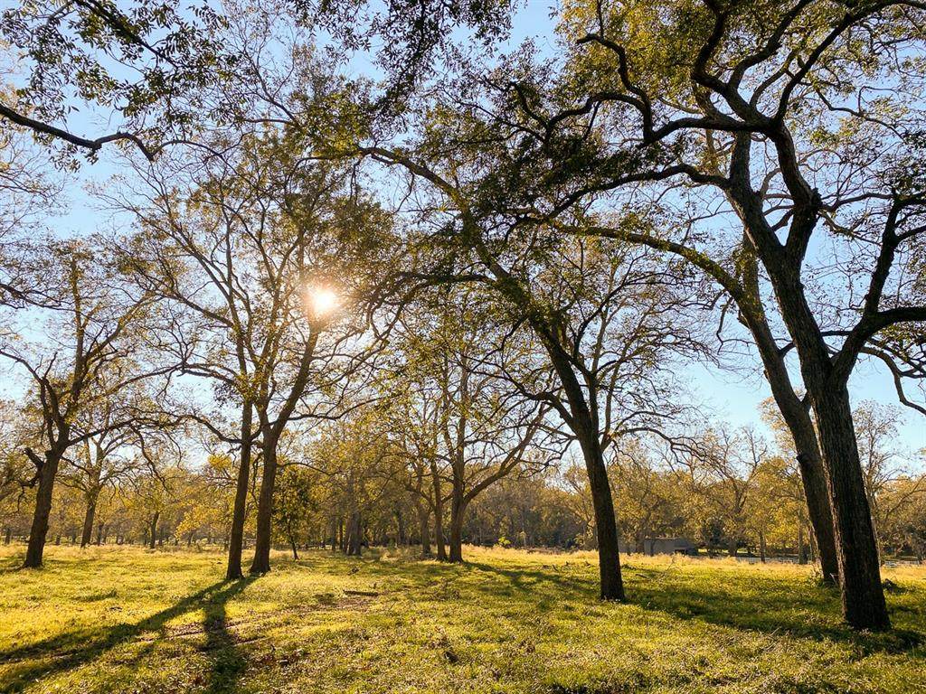 0 River Ridge Road - Photo 1