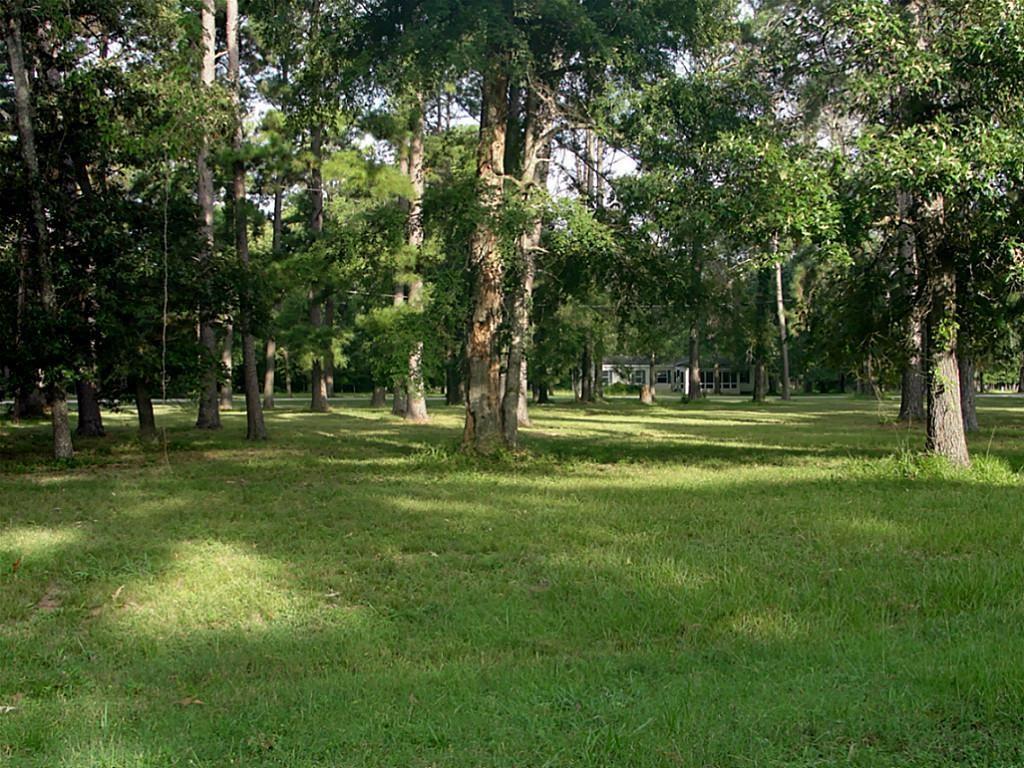 000 Tara Drive - Photo 1