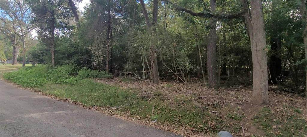 225 Dailey Road - Photo 1