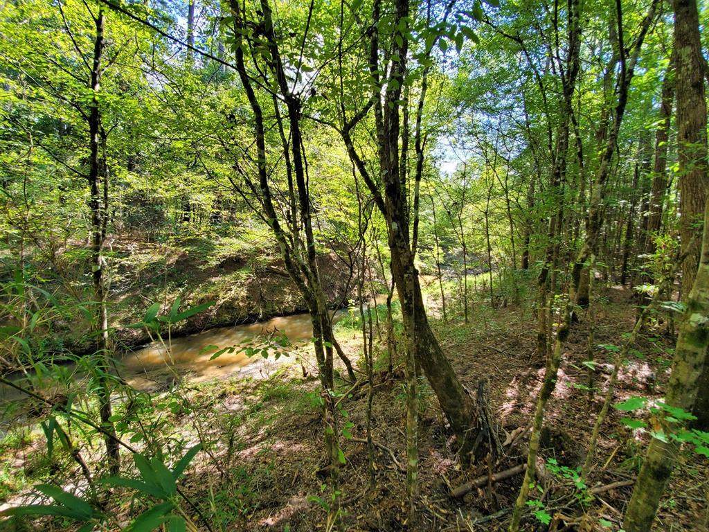TBD County Road 2834 - Photo 1