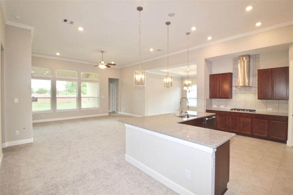 3802 Diamond Point Lane - Photo 1