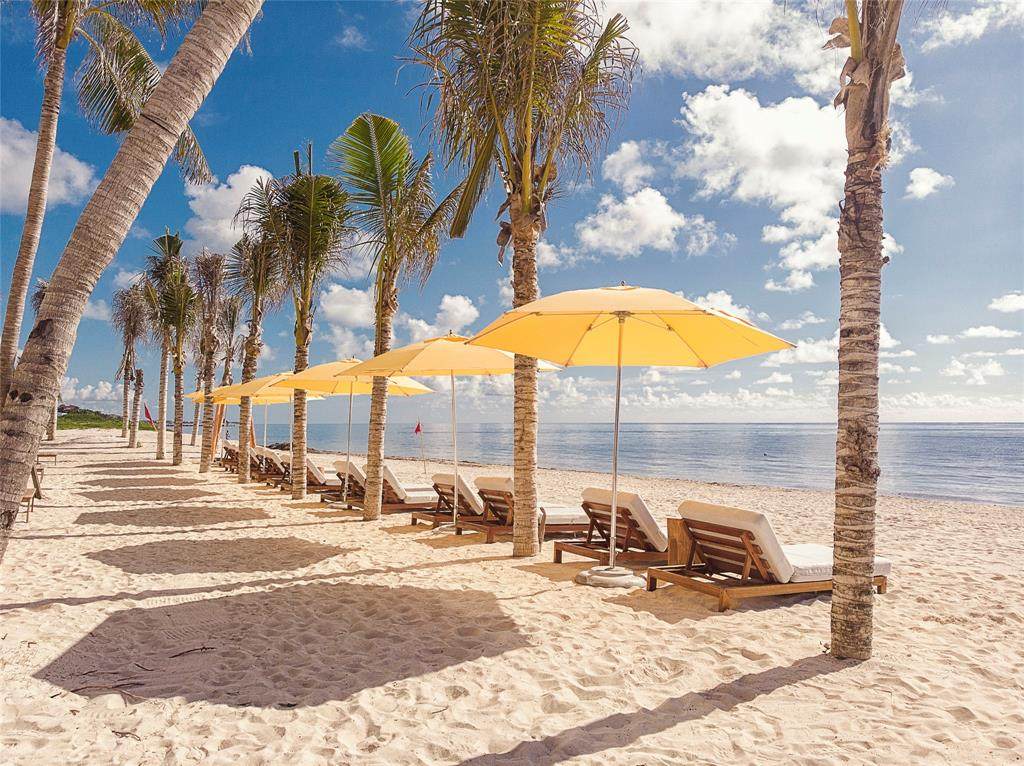 1+NG Puerto Morelos - Photo 1