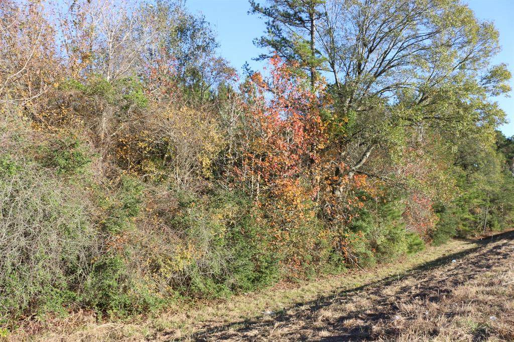 7-TBD Us Hwy 190 - Photo 1