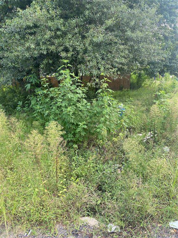 0 Esther Dr - Photo 1
