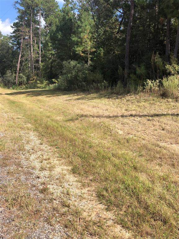 198 Texas Grand Road Road - Photo 1