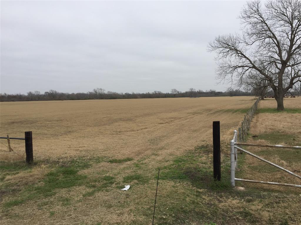 1536 County Road 235 Road - Photo 1