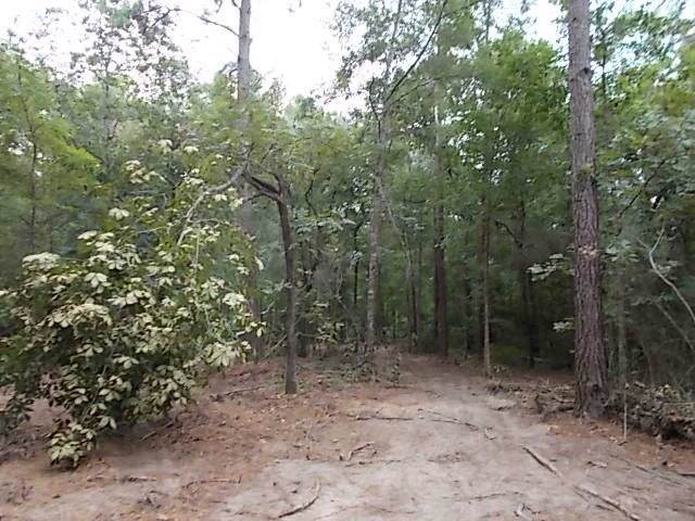 TBD Purkerson Road - Photo 1