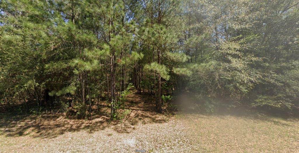 00 Middle Parkway Dr - Photo 1