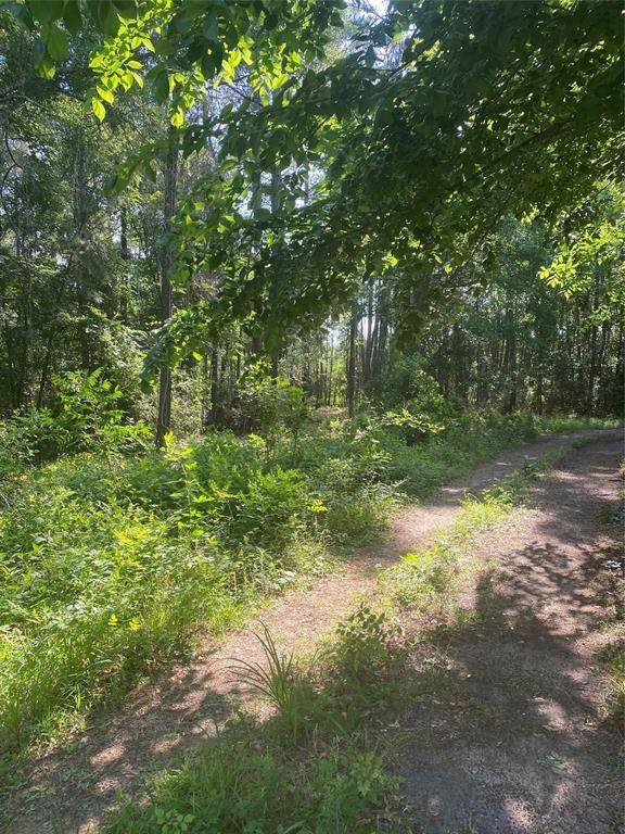 Lot 12 Yupon Lane - Photo 1
