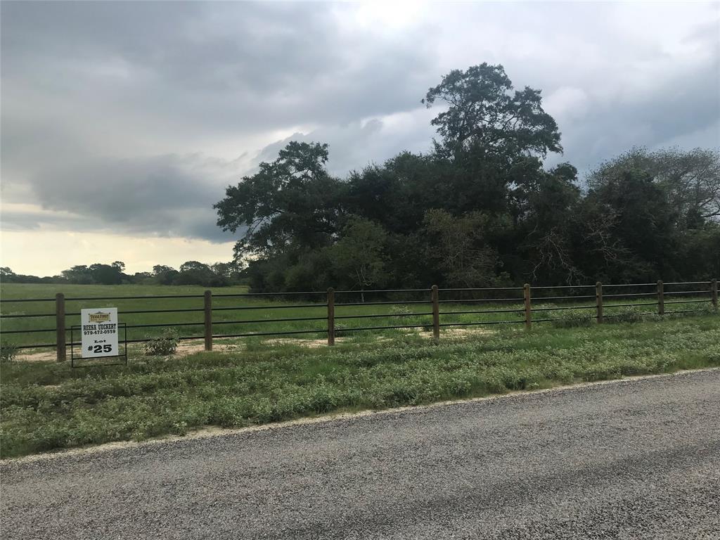 3550 Eli Road - Photo 1