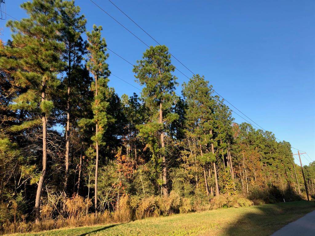 5-27-4 Feldspar Lane - Photo 1