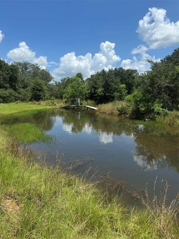 2942 Sandy Creek Road - Photo 1