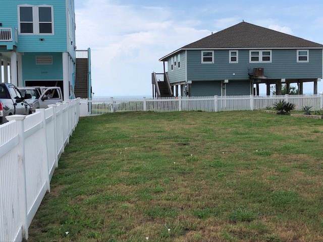 11225 Bernice Drive - Photo 1