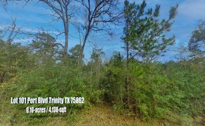 Lot 101 Port Boulevard - Photo 1
