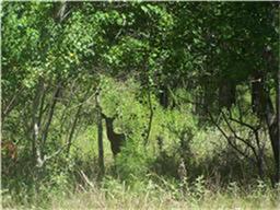 29123 Village Bend - Photo 1