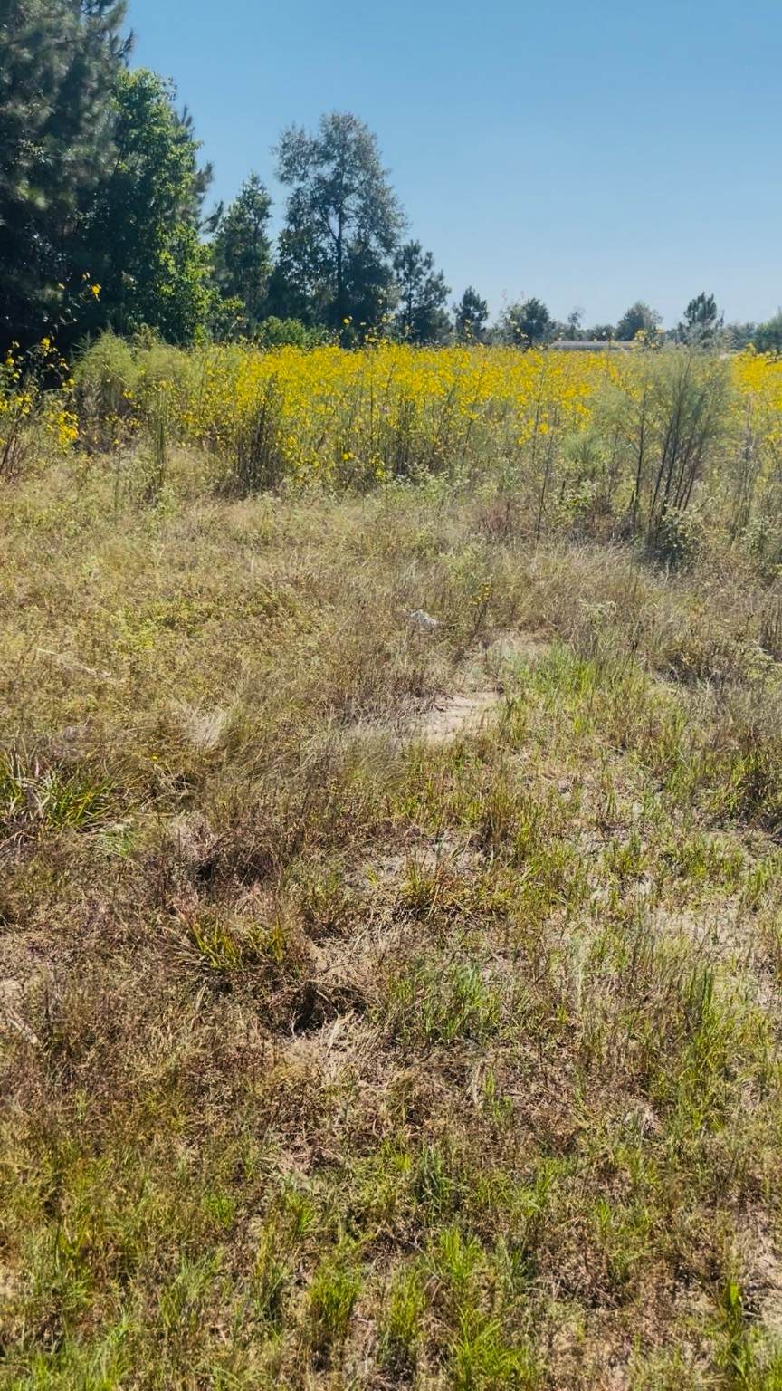 388 County Road 5017 - Photo 1