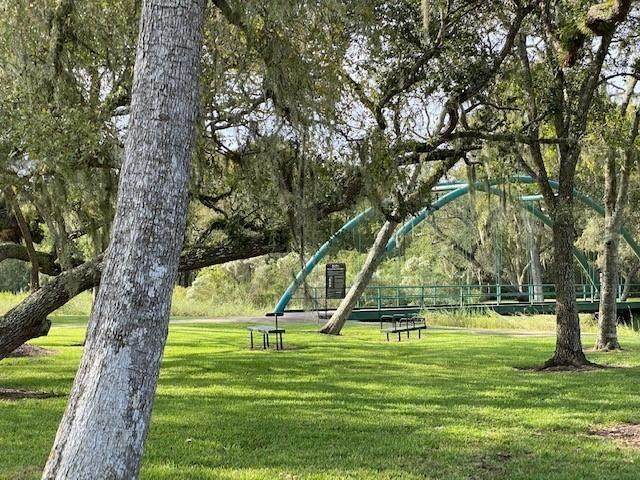 31850 Bayou Bend - Photo 1