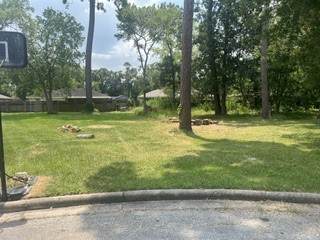 715 Sailfin Court - Photo 1