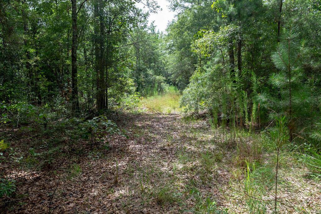 726 County Road 4774 - Photo 1